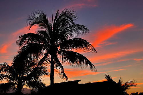 orange crush por Andrew.O.