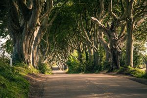 Destino juego tronos irlanda